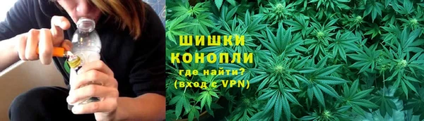 молекула духа Белокуриха