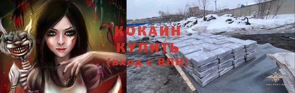 бошки Богородицк