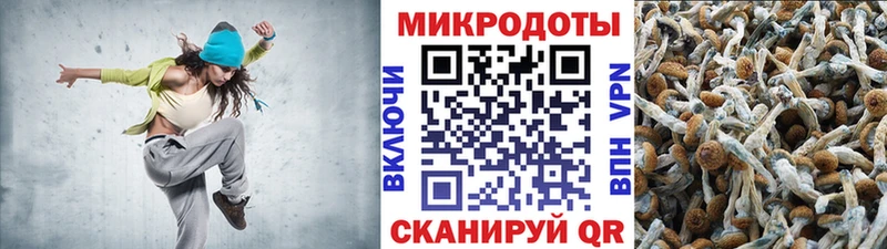 ОМГ ОМГ как зайти  Балтийск  Галлюциногенные грибы Cubensis 
